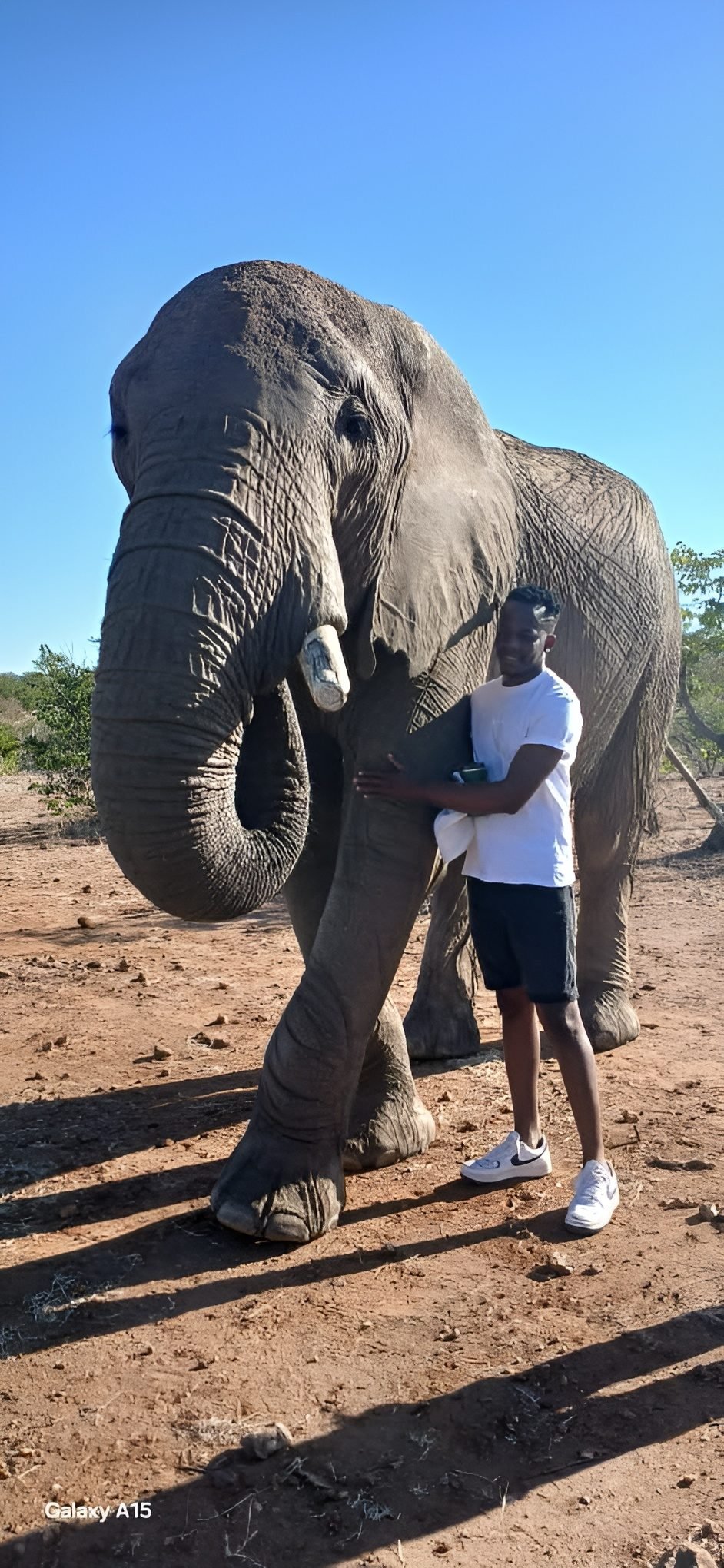 A Marvel guide alongside an elephant on a Zimbabwean game drive