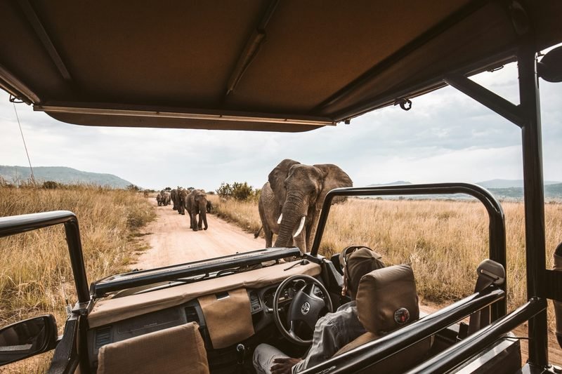 Day Trips & Excursions — Marvel Travel & Logistics